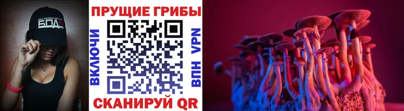 Псилоцибиновые грибы мицелий Советск
