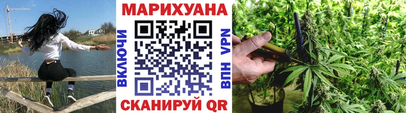 Конопля планчик  Советск 
